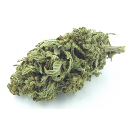 Mango Kush sachet 1g, fleurs CBD, détente &amp; relaxation