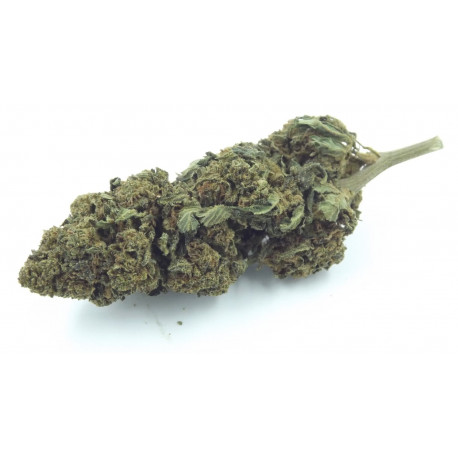 Super Lemon Haze 5g, Fleur CBD Green house